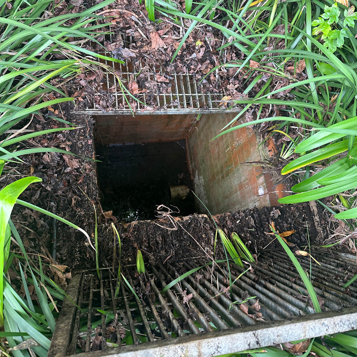 blocked drain and reline plumbers sydney