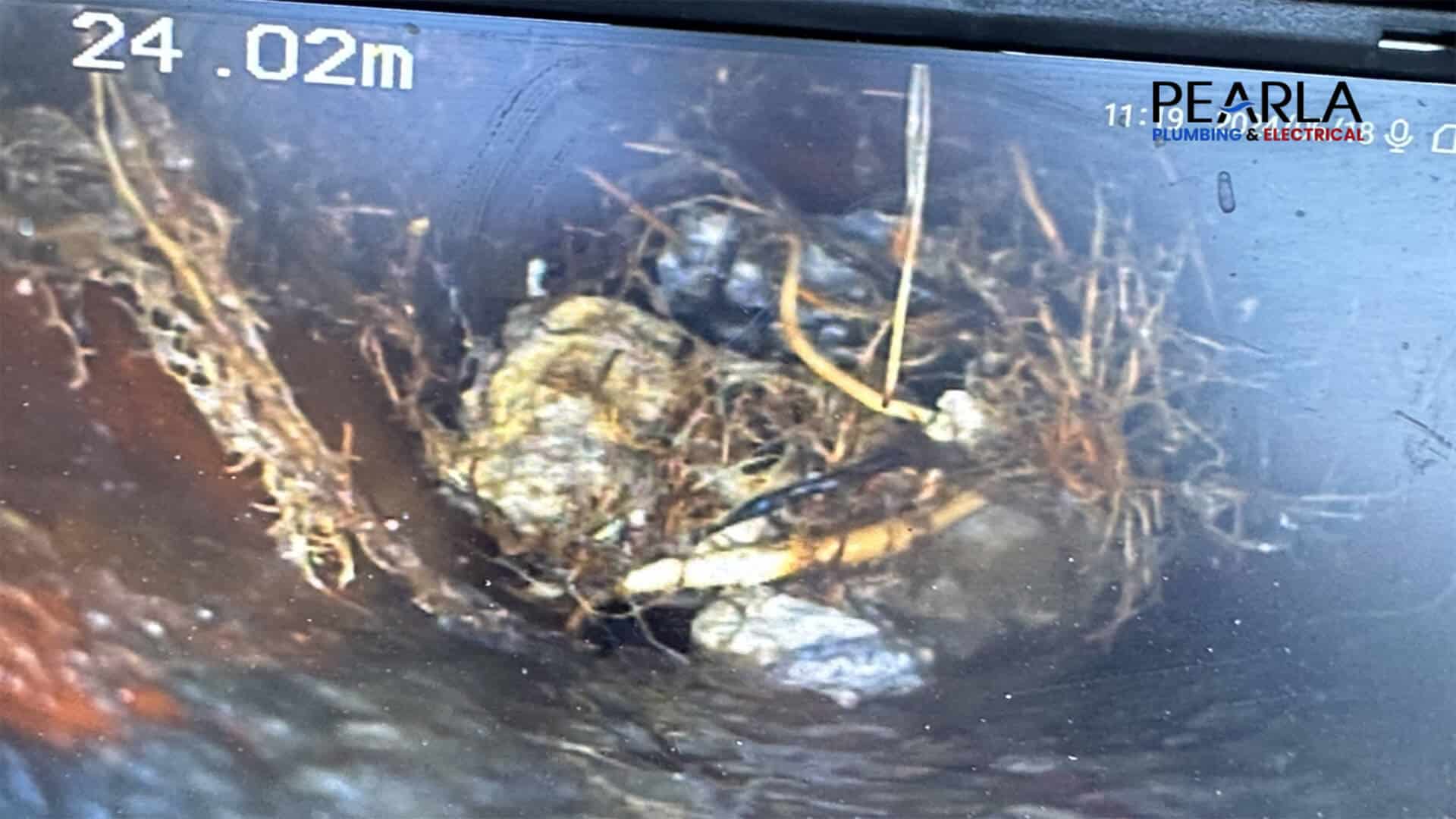 How CCTV Inspections Find Root Damage in Frenchs Forest Drains